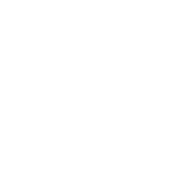 Raphael S.r.l.